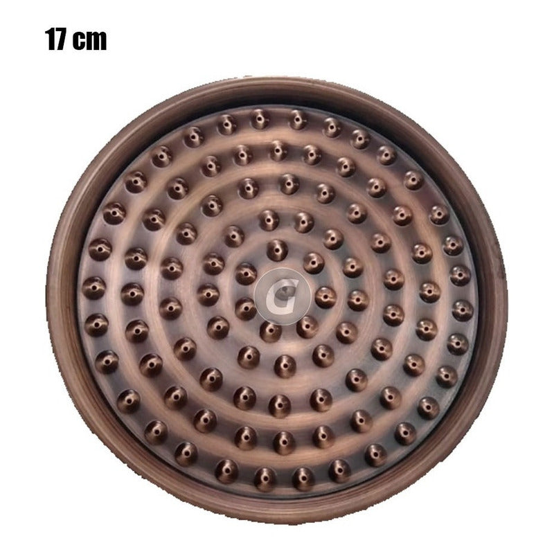 Ducha Cobre Antiguo 17cm Y Registro De Ducha Vitage
