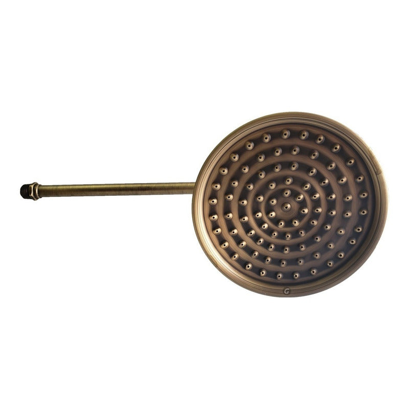 Ducha-regadera Bronce Antiguo 18cm Incluye Tubo 40cm Vitage