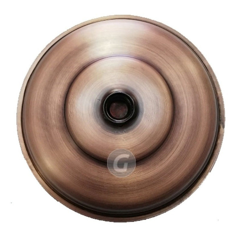 Ducha Cobre Antiguo 23 Cm Y Registro De Ducha Vitage