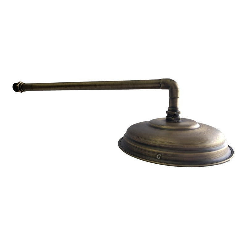 Ducha-regadera Bronce Antiguo 18cm Incluye Tubo 40cm Vitage