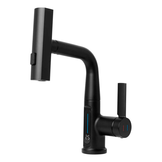 Griferia Lavaplatos Monocontrol Control Digital Negro Mate