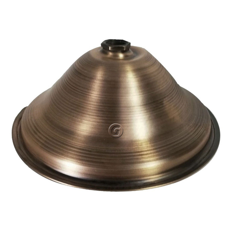 Ducha 20cm Bronce Antiguo Con Tubo Vintage