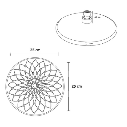 Ducha Regadera Redonda Negra Mate 22cm Estilo Like