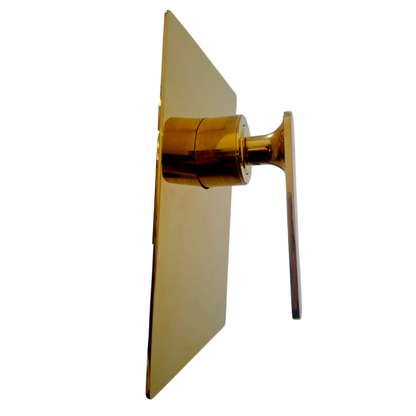 Mezclador Monocontrol Ducha Cuadrado Oro Brillante