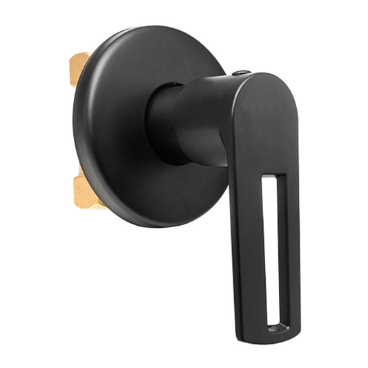 Registro Sencillo De Ducha Negro Mate Laton