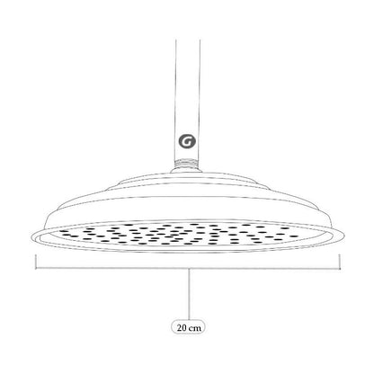 Regadera Antique De Lujo De 20 Cms