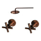 Ducha Con Mezclador Bronce Antiguo