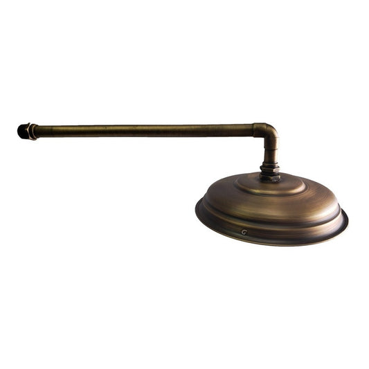 Ducha-regadera Bronce Antiguo 18cm Incluye Tubo 40cm Vitage