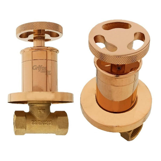 Manija/registro Para Ducha Industry Rose Gold Vintage