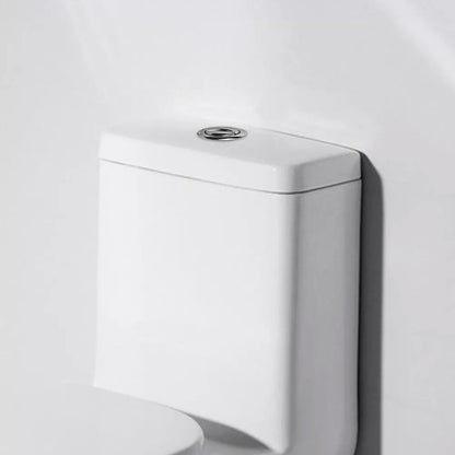 Botón Sanitario Doble Descarga Plateado 38mm