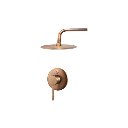 Mezclador Ducha Monocontrol Con Ducha De 20cm Bronce Antiguo