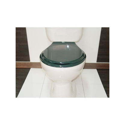 Asiento Sanitario Universal Belo Verde Oscuro